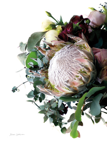 Protea Bouquet II - Wall Art - By Elise Catterall- Gallery Art Company