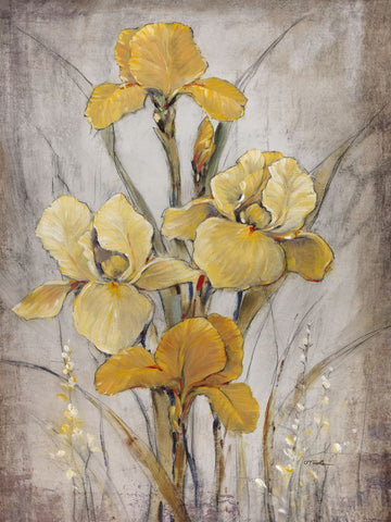 Golden Irises I - Wall Art - By Tim O'Toole- Gallery Art Company