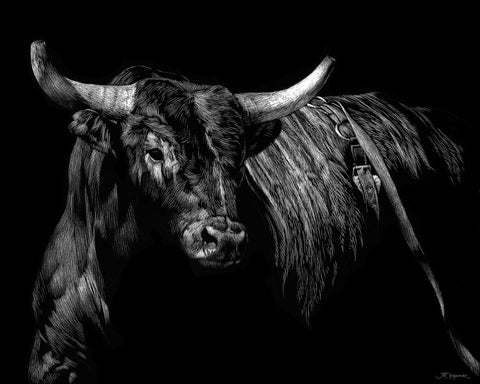 Brindle Rodeo Bull - Wall Art - By Julie Chapman- Gallery Art Company