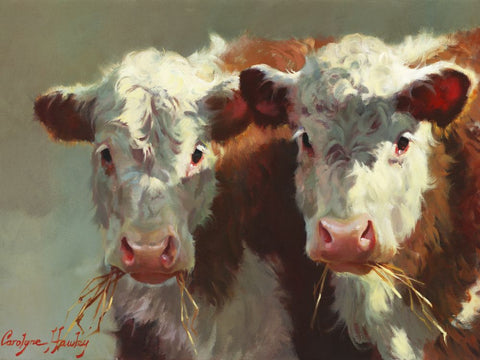 Cow Belles - Wall Art - By Carolyne Hawley- Gallery Art Company