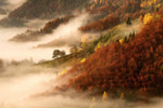 November's fog - Wall Art - By Bor- Gallery Art Company