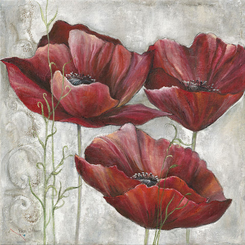 Three Poppies I - Wall Art - By Rian Withaar- Gallery Art Company
