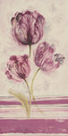 Floral With Stripes I - Wall Art - By Disegni- Gallery Art Company