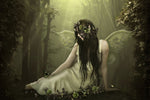 Forest Fairy - Wall Art - By Babette- Gallery Art Company