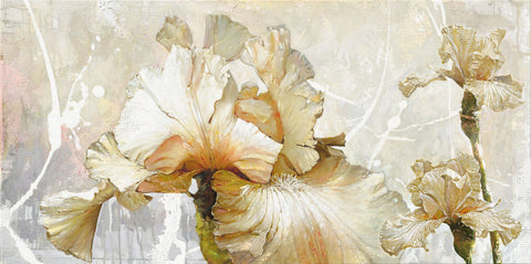 Vanilla Iris I - Wall Art - By Enrico Sestillo- Gallery Art Company