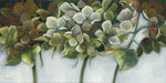 Green Hydrangeas - Wall Art - By Rian Withaar- Gallery Art Company