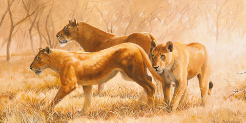 Pride Animals - Wall Art - By Frank Norman- Gallery Art Company