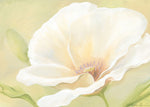 White Flower I - Wall Art - By Nathalie Boucher- Gallery Art Company