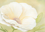 White Flower II - Wall Art - By Nathalie Boucher- Gallery Art Company