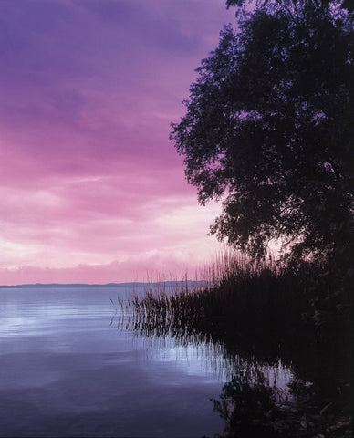 Idyllic Lake III - Wall Art - By Gerd Weissing- Gallery Art Company