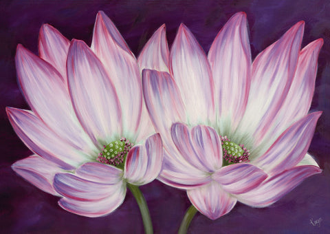 Purple Lotus - Wall Art - By Kaye Lake- Gallery Art Company