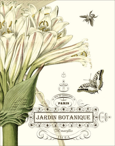 Jardin Botanique II - Wall Art - By Vision Studio- Gallery Art Company