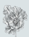 Silvery Blue Tulips I - Wall Art - By Jennifer Goldberger- Gallery Art Company