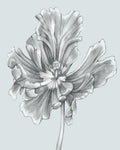 Silvery Blue Tulips III - Wall Art - By Jennifer Goldberger- Gallery Art Company