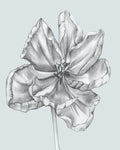 Silvery Blue Tulips IV - Wall Art - By Jennifer Goldberger- Gallery Art Company