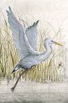 Heron Sanctuary I - Wall Art - By Tim O'Toole- Gallery Art Company