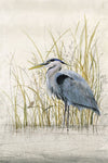 Heron Sanctuary II - Wall Art - By Tim O'Toole- Gallery Art Company