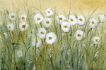 Daisy Spring I - Wall Art - By Tim O'Toole- Gallery Art Company