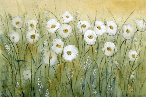 Daisy Spring I - Wall Art - By Tim O'Toole- Gallery Art Company