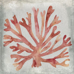 Watercolor Coral III - Wall Art - By Megan Meagher- Gallery Art Company