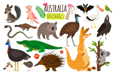 Australian animals - Wall Art - By S-S-S- Gallery Art Company