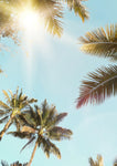 Sun Ray - Wall Art - By SISI & SEB ART- Gallery Art Company