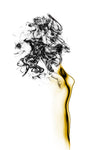 Naked 2 - Wall Art - By Roberto Marini- Gallery Art Company