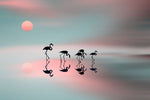 Family flamingos. - Wall Art - By Natalia- Gallery Art Company