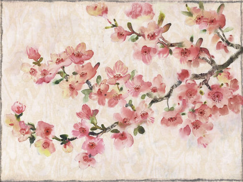 Cherry Blossom Composition I - Wall Art - By Tim O'Toole- Gallery Art Company