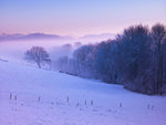 Winter landsacpe at dusk with snow, Switzerland - Wall Art - By Assaf Frank- Gallery Art Company