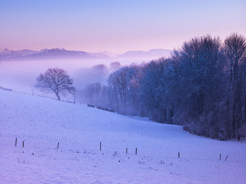 Winter landsacpe at dusk with snow, Switzerland - Wall Art - By Assaf Frank- Gallery Art Company