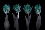 Rococo Tulips - Wall Art - By Assaf Frank- Gallery Art Company
