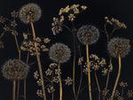 Meadow flowers - Wall Art - By Assaf Frank- Gallery Art Company