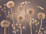 Meadow flowers - Wall Art - By Assaf Frank- Gallery Art Company