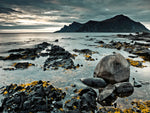 Rocky coastline, Lofoten, Norway - Wall Art - By Assaf Frank- Gallery Art Company