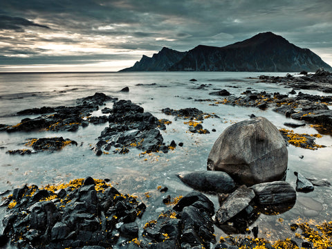 Rocky coastline, Lofoten, Norway - Wall Art - By Assaf Frank- Gallery Art Company