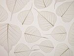 Skeleton leaves - Wall Art - By Assaf Frank- Gallery Art Company