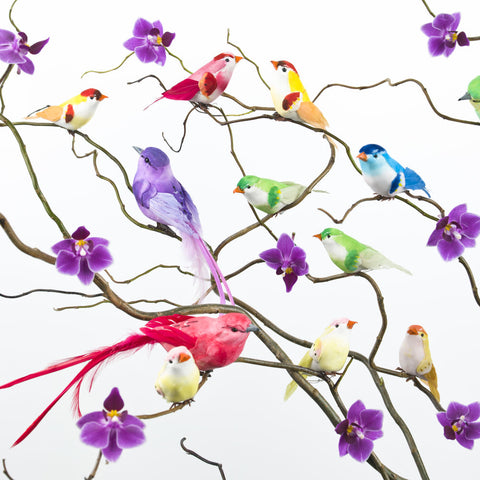 Oriental birds and Orchids - Wall Art - By Assaf Frank- Gallery Art Company