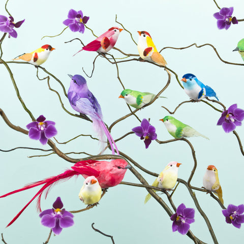 Oriental birds and Orchids - Wall Art - By Assaf Frank- Gallery Art Company