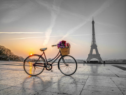 Bicycle with a basket of flowers next to the Eiffel tower, Paris, France - Wall Art - By Assaf Frank- Gallery Art Company
