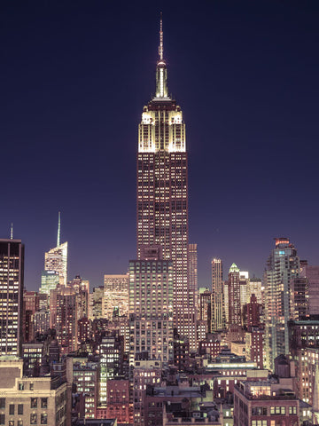 Empire State Building with New York City Manhattan skyline with skyscrapers - Wall Art - By Assaf Frank- Gallery Art Company