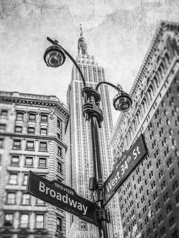 Street lamp and street signs with Empire State building in background - New York - Wall Art - By Assaf Frank- Gallery Art Company