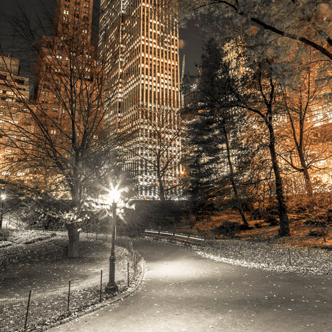 Evening view of Central Park in New York City - Wall Art - By Assaf Frank- Gallery Art Company