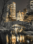 Evening view of Central Park in New York City - Wall Art - By Assaf Frank- Gallery Art Company