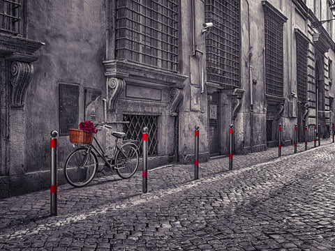 Bunch of roses on bicycle on old city street of Rome - Wall Art - By Assaf Frank- Gallery Art Company