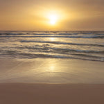 Sunset on the beach - Wall Art - By Assaf Frank- Gallery Art Company