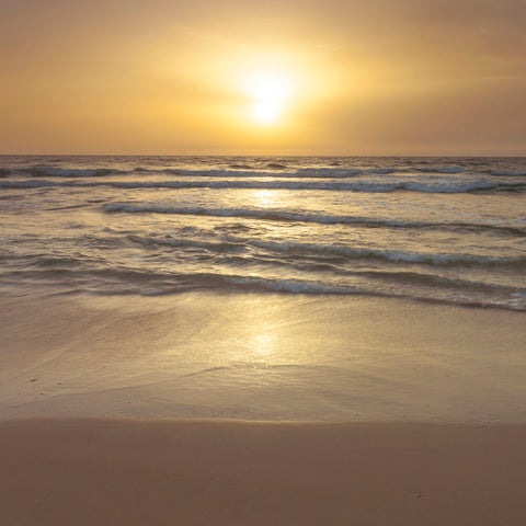 Sunset on the beach - Wall Art - By Assaf Frank- Gallery Art Company