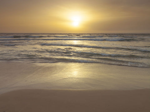 Sunset on the beach - Wall Art - By Assaf Frank- Gallery Art Company
