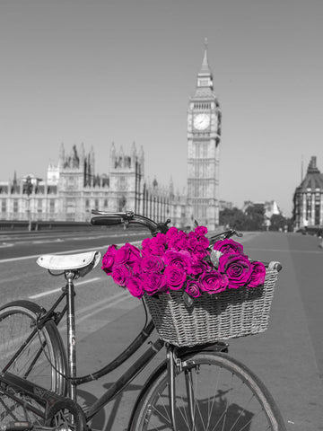 Bicycle with bunch of flowers on Westminster Bridge , London, UK - Wall Art - By Assaf Frank- Gallery Art Company
