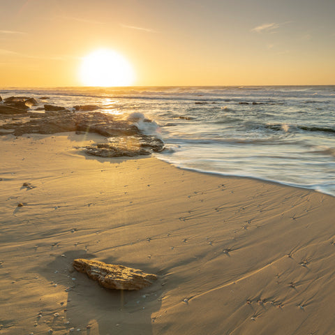 Golden sunset on beach - Wall Art - By Assaf Frank- Gallery Art Company